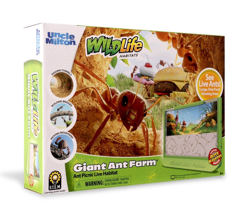 Basic Fun Uncle Milton Giant Ant Farm - Large Viewing Area - Care for Live Ants - Nature Learning Toy - Science DIY Toy Kit - Great Gift for Boys & Girls, Green - Image 2